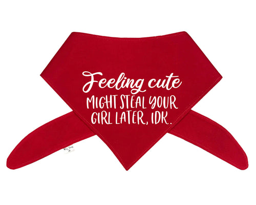 Feeling Cute Might Steal Your Girl Later, Idk. Bandana - Color Options Avail. (No Personalization)