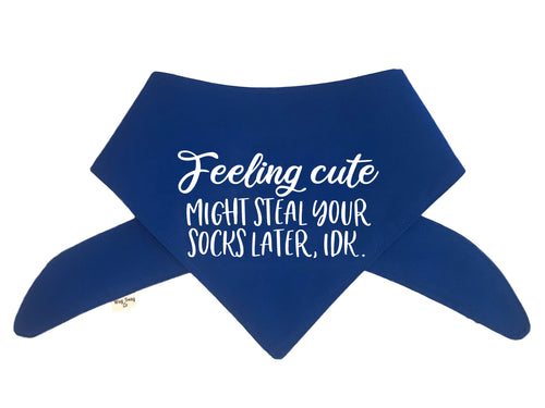 Feeling Cute Might Steal Your Socks Later, Idk. Bandana - Color Options Avail. (No Personalization)